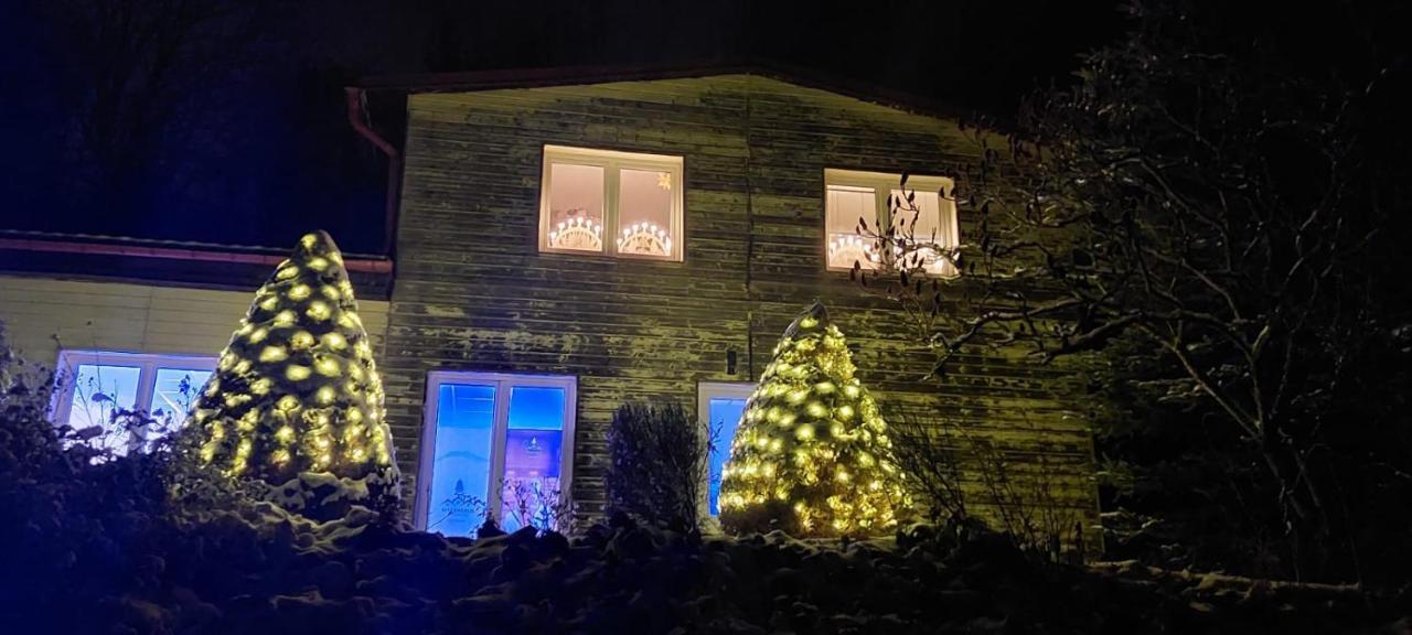 Appartamento Waldhaus Jáchymov Esterno foto